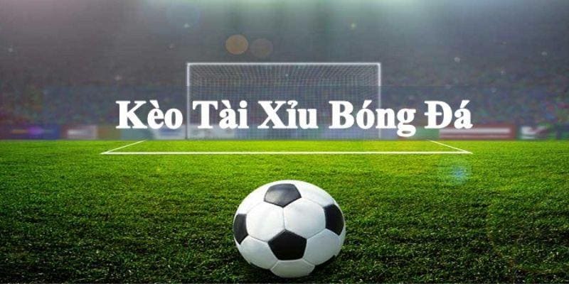 Cược Tài Xỉu là loại cược đơn giản nhất với tỷ lệ trả thưởng cực cao